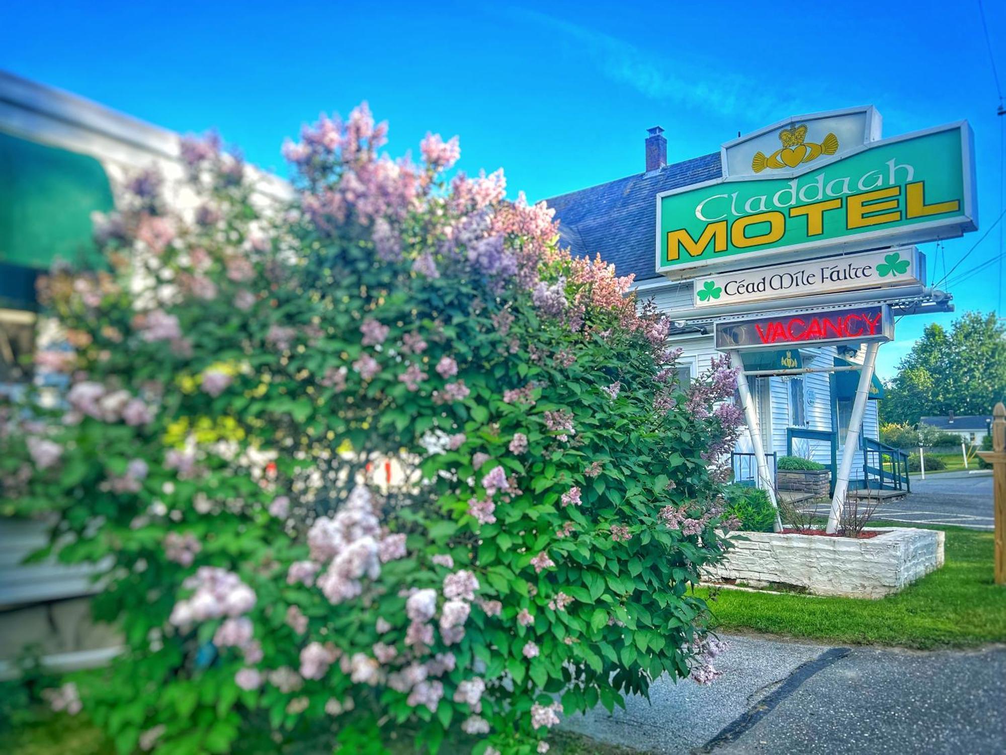 רוקפורט Claddagh Motel & Suites מראה חיצוני תמונה